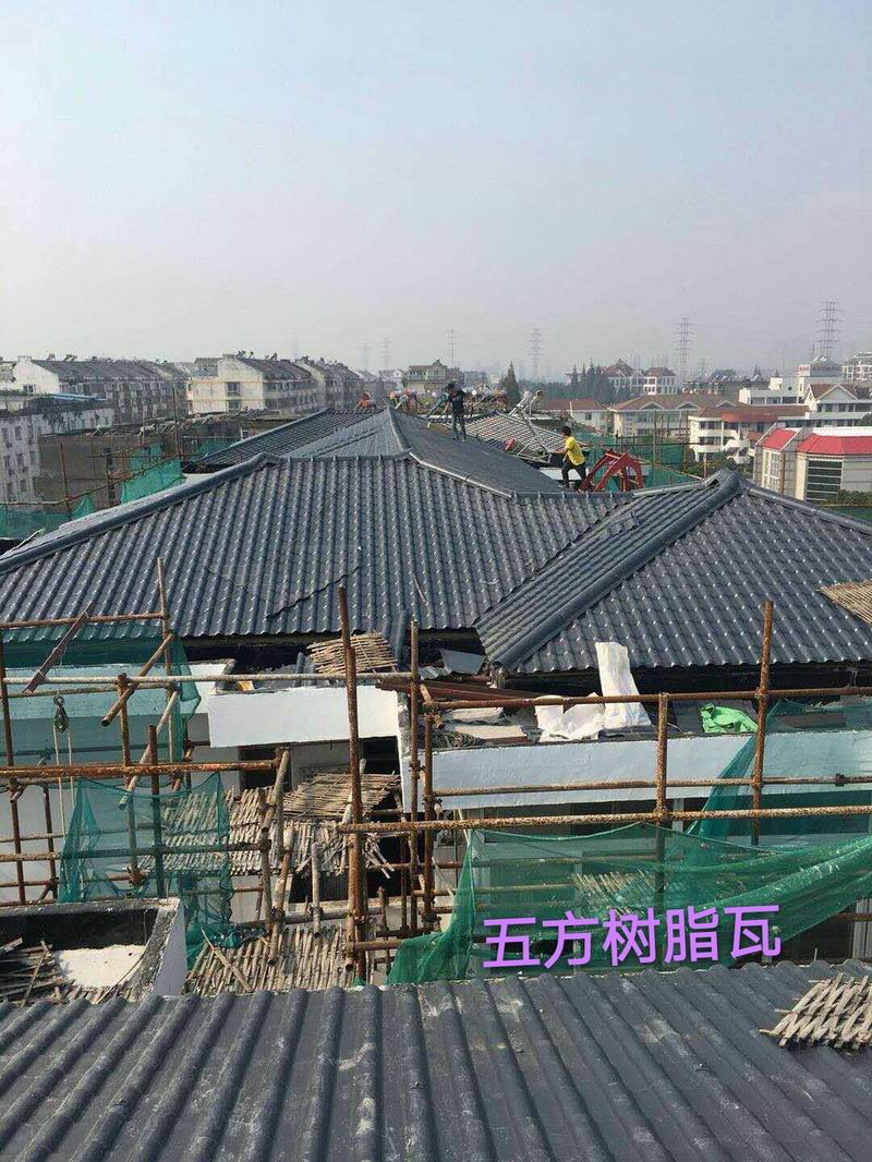 合成樹(shù)脂瓦案例